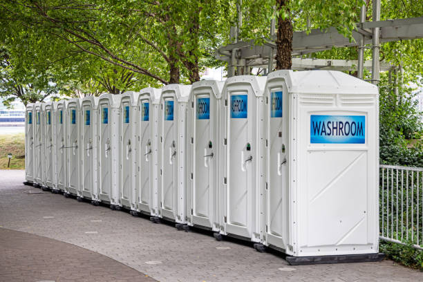 Best Luxury portable toilet rental  in Valmeyer, IL